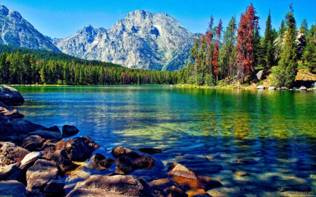 A peaceful mountain lake surrounded by lush forest and rocky shore in vibrant colors, 2K Desktop Wallpaper