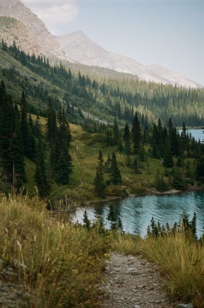 A scenic trail winds through pine trees beside a lake in Montana landscapes, HD Mobile Wallpaper