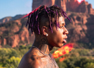 A side profile of Nle Choppa with purple dreadlocks and tattoos in a natural outdoor setting