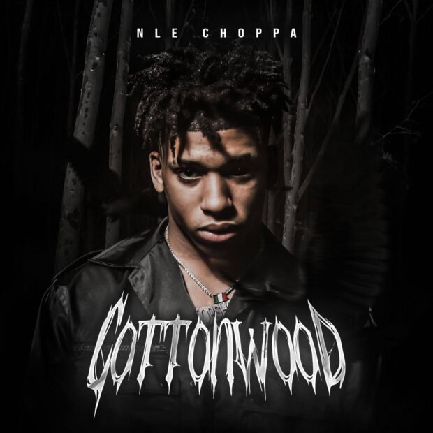 Nle Choppa wearing a dark jacket and necklace in a moody forest setting