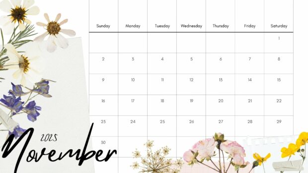 November 2025 Calendar Wallpaper HD download free (3)