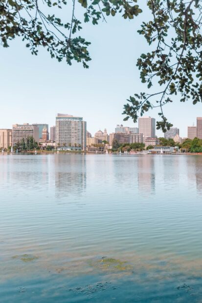 Beautiful cityscape of Oakland with clear sky and calm water reflection viewed through tree branches