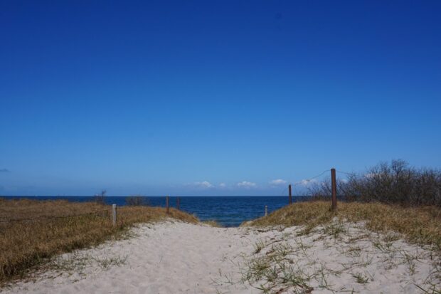 Sandy path leading to the sea in Oland Sweden surrounded by dry grass and clear blue sky