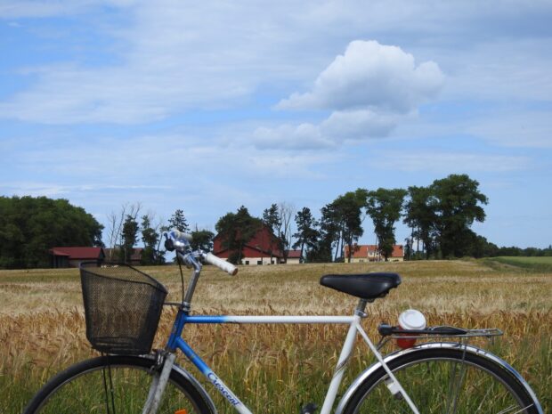 A Crescent bicycle parked in a wheat field with trees and houses in Oland Sweden