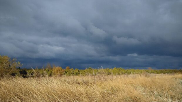 Dark storm clouds gathering over golden grassland in Oland Sweden