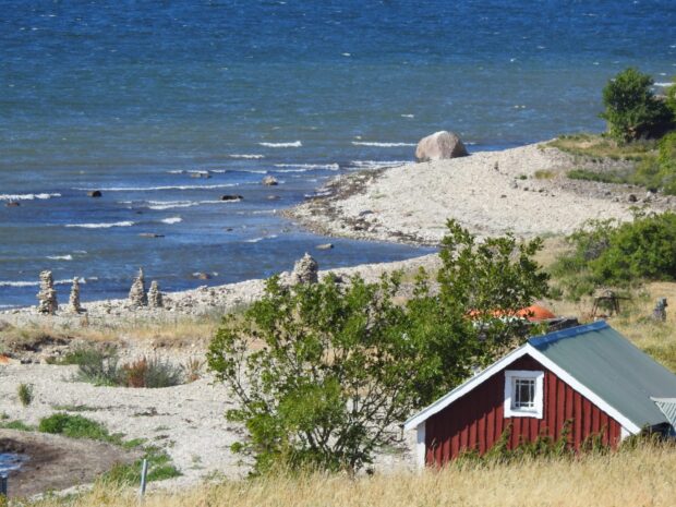 A red cottage near the shore with green trees on Oland Sweden