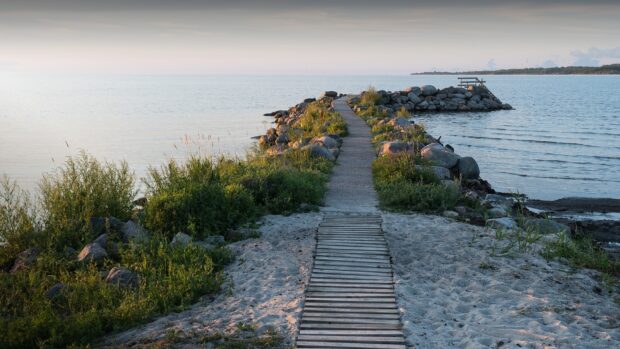 A scenic path lined with rocks and plants leading to a small pier over calm water in Oland Sweden