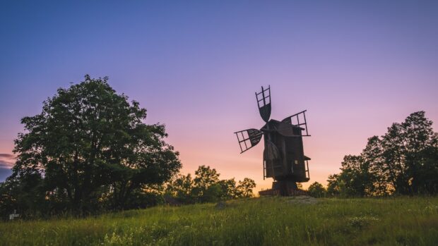 Traditional windmill in Oland Sweden at sunset with lush green grass and trees