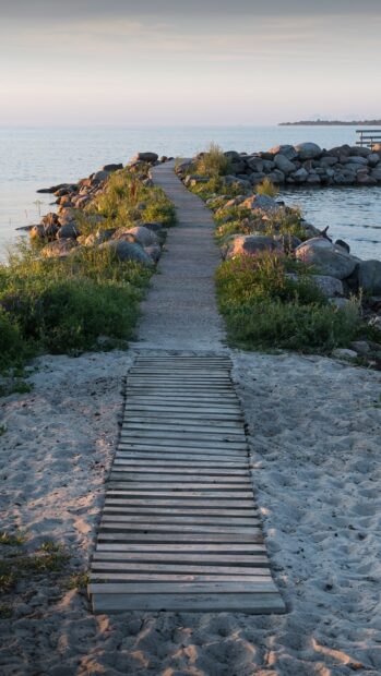 A wooden boardwalk leading through greenery to a rocky shore at Oland Sweden