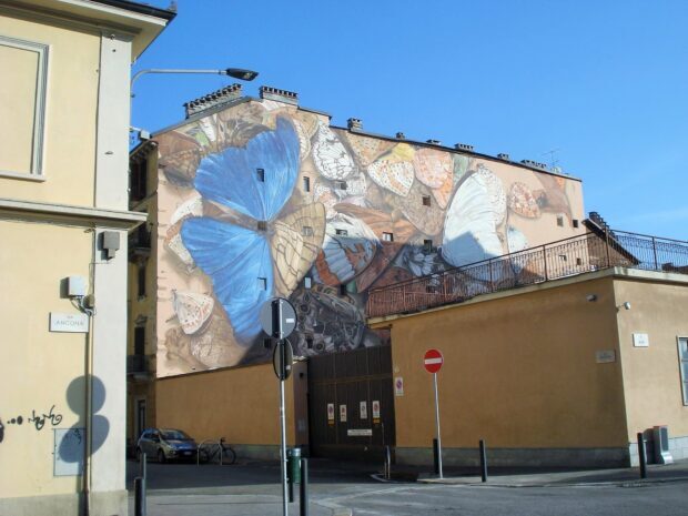 A mural of colorful butterflies painted on a building wall in Parma Italy