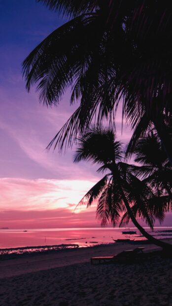 The serene palm tree scenery wallpapers showcase a pink and purple sky over the calm beach, HD Mobile Wallpaper