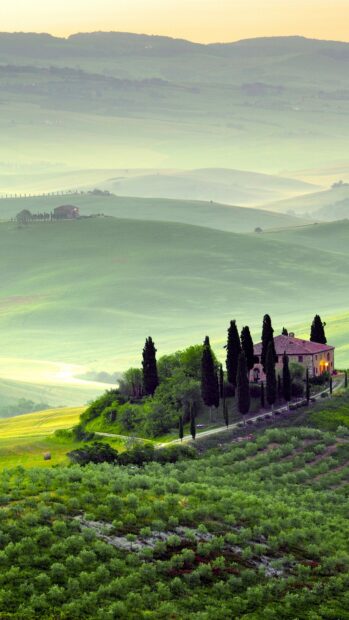 The green hills display a peaceful morning scene with trees and a house, 4K Mobile Wallpaper