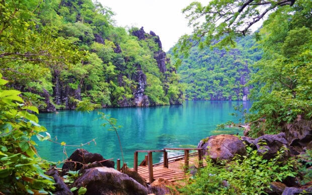 A tranquil lake surrounded by lush greenery in the Philippines with a wooden dock on the shore