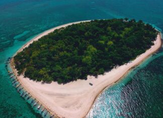 Aerial view of lush greenery and sandy shores on a tropical island in the Philippines
