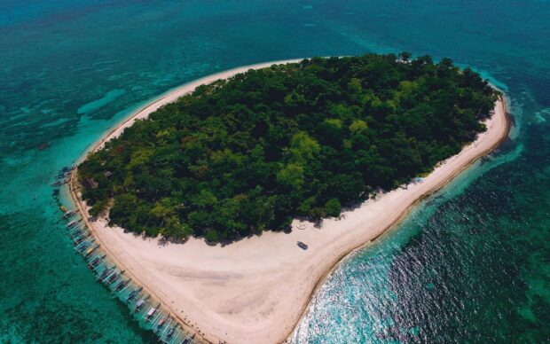Aerial view of lush greenery and sandy shores on a tropical island in the Philippines