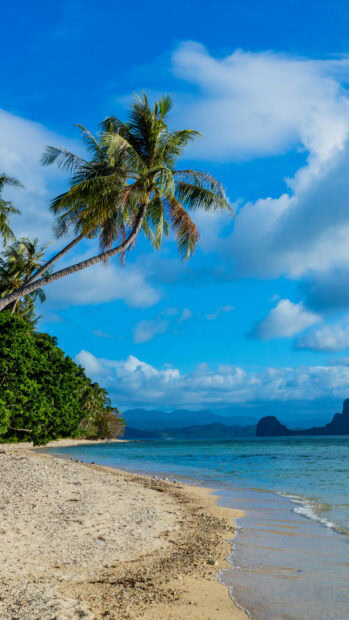 Tropical island landscape in Philippines with palm trees and clear blue sky