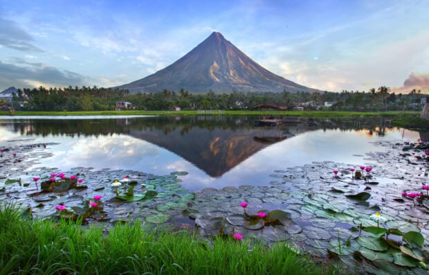 Mayon Volcano landscape with water lilies and a lake reflection in the Philippines