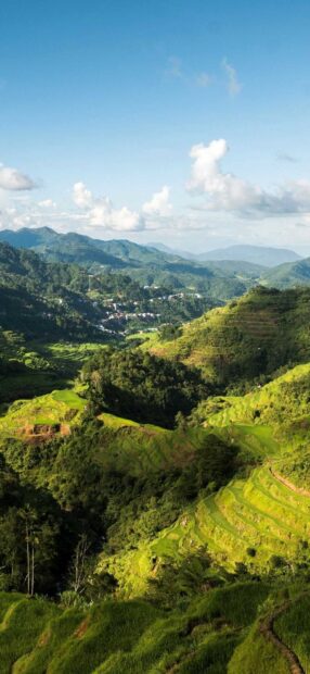 Beautiful rice terraces in the Philippines surrounded by lush green mountains and clear blue sky