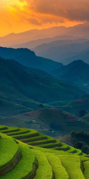 Lush terraced fields with mountain layers during sunset in Philippines