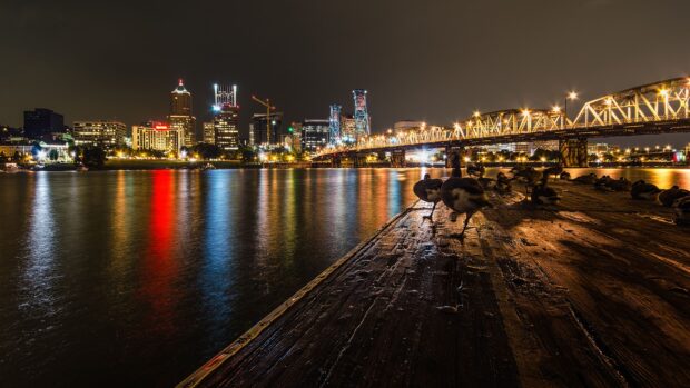 Nighttime view of Portland skyline with bridge and ducks on wooden dock