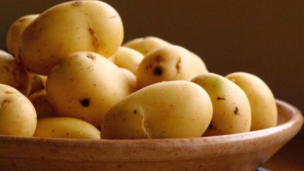 A close up view of fresh potato in a wooden bowl under soft lighting