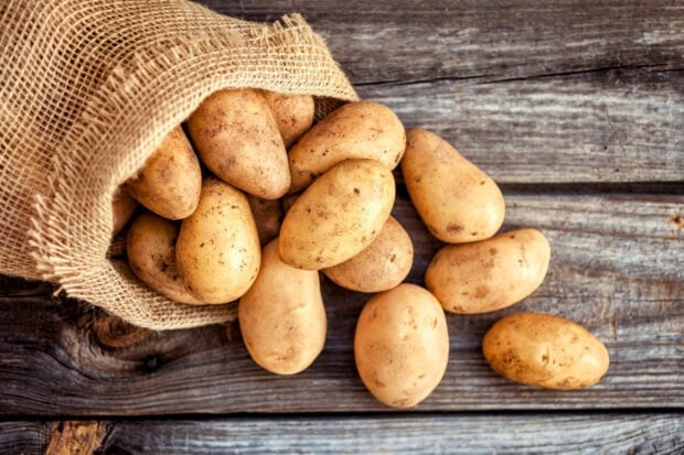 Fresh potato spilling out of a burlap sack on wooden surface with potatoes visible
