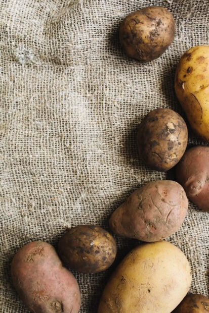A variety of fresh potato tubers on a textured burlap surface