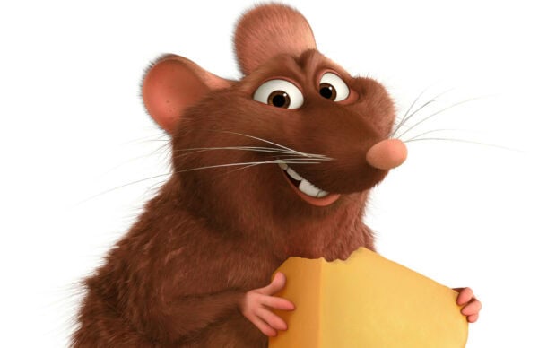 Ratatouille character holding a piece of cheese in a close up view
