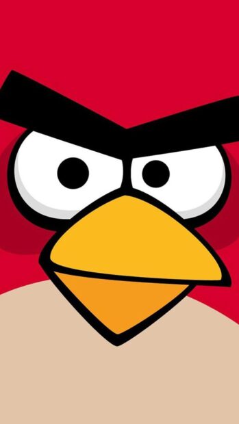 Hình ảnh cho thấy một nhân vật Angry Birds màu đỏ với biểu cảm tập trung, Hình nền điện thoại HD