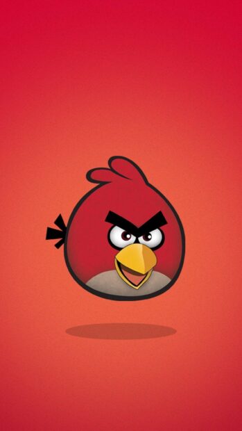 Một nhân vật Angry Birds màu đỏ nổi trên nền chuyển màu cam có bóng đổ bên dưới, Hình nền điện thoại HD