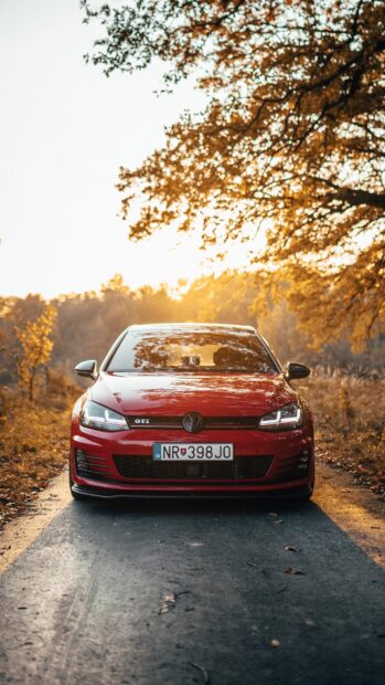 Một chiếc Golf GTI màu đỏ đỗ trên con đường được bao quanh bởi những hàng cây mùa thu với lá vàng, Hình nền di động HD