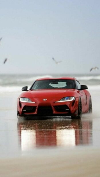 High-performance red sports car on wet beach with seagulls flying overhead.