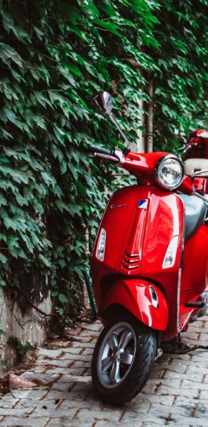 A red scooter is parked beside a wall covered with green leaves and plants, 2K Phone Wallpaper