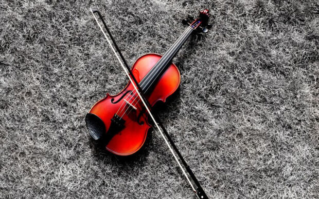 A red violin and bow lie on dry textured grass in a detailed close up, HD Desktop Wallpaper