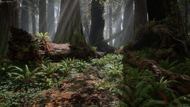 Lush green forest floor with fallen logs and towering redwood trees in Redwood National Park