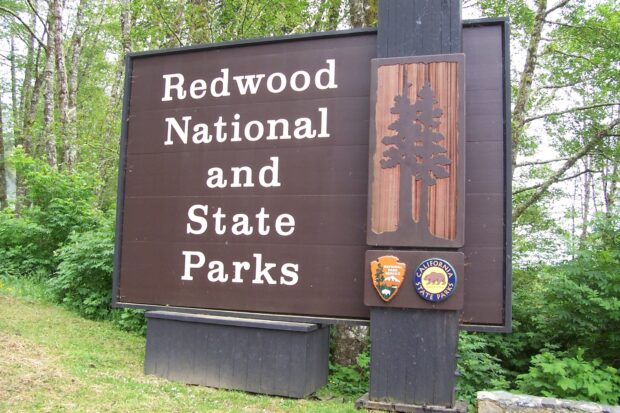 A wooden sign displaying Redwood National and State Parks in a forested area