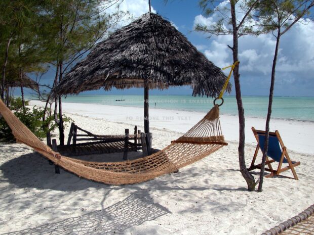 A hammock tied between trees on a sandy beach with clear blue water in Zanzibar, 2K Desktop Wallpaper