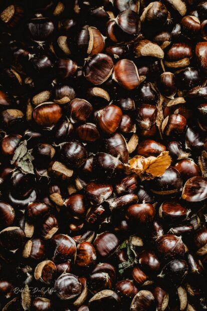 A close up view of rich brown chestnuts scattered with a few autumn leaves, HD Phone Wallpaper