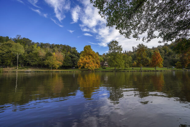 The River Thames reflects colorful autumn trees under a blue sky, 2K Desktop Wallpaper