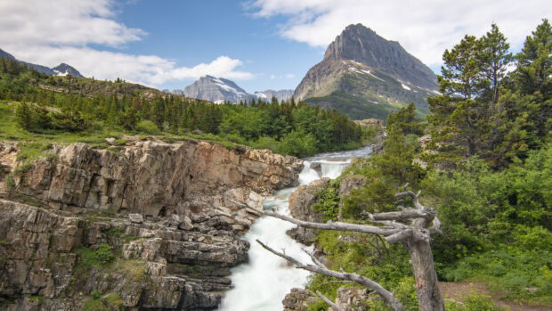 A flowing stream surrounded by lush greenery and rocky cliffs in Montana, 4K Desktop Wallpaper