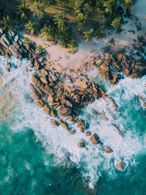 Aerial view of rocky coastline and palm trees along the Sri Lanka coast with waves crashing, HD Mobile Wallpaper