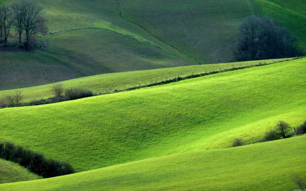 A scenic view of rolling green hills covered in vibrant grass and sparse trees, HD Desktop Wallpaper