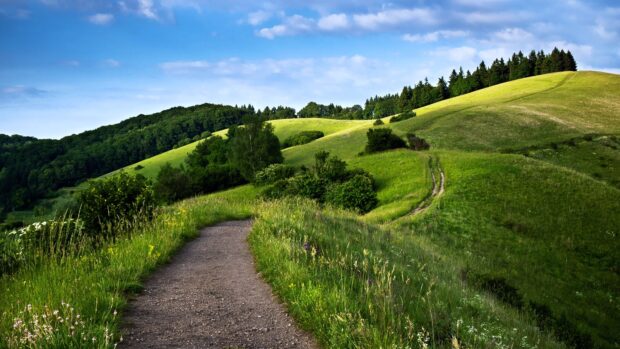 A dirt path winds through the green hills with wildflowers on the sides, 4K Desktop Wallpaper