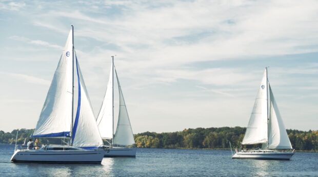 Three sailing boats with white sails glide smoothly on the calm water near a forested shore