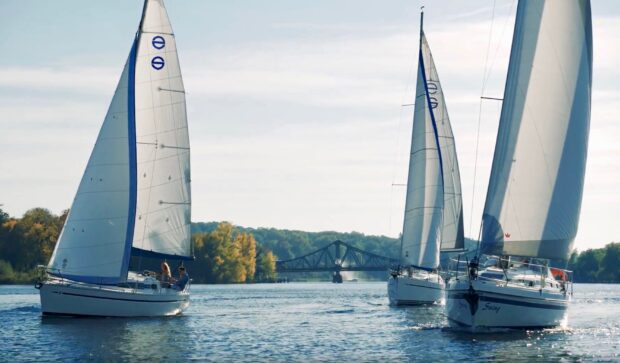 Sailboats sailing on a river near a bridge with trees in the background