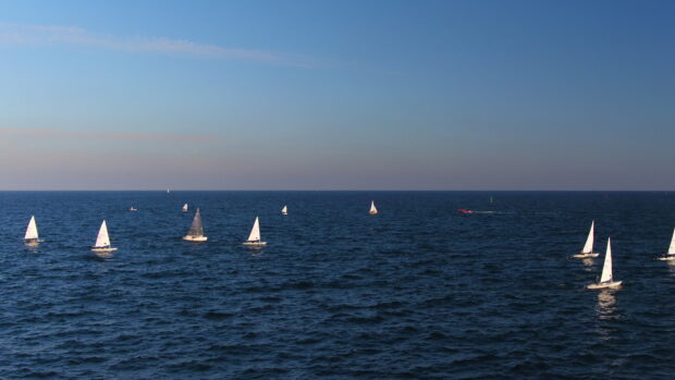 A fleet of sailing boats navigating across the deep blue ocean under a clear sky