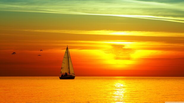 A sailing boat gliding across serene water during a vibrant sunset with birds flying nearby
