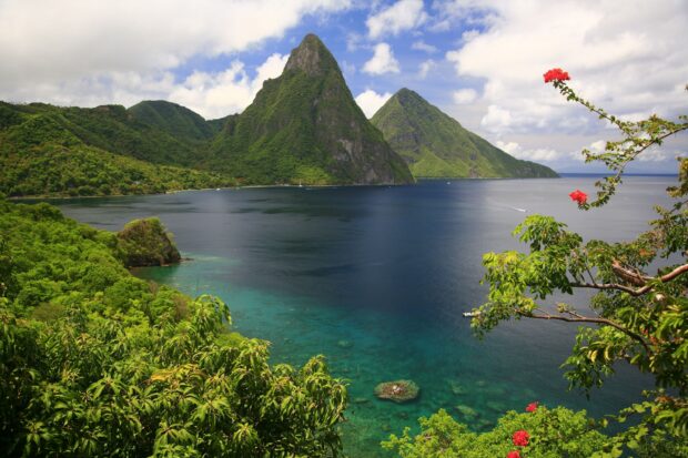 Lush green hills and clear blue sea of Saint Lucia surrounded by tropical foliage