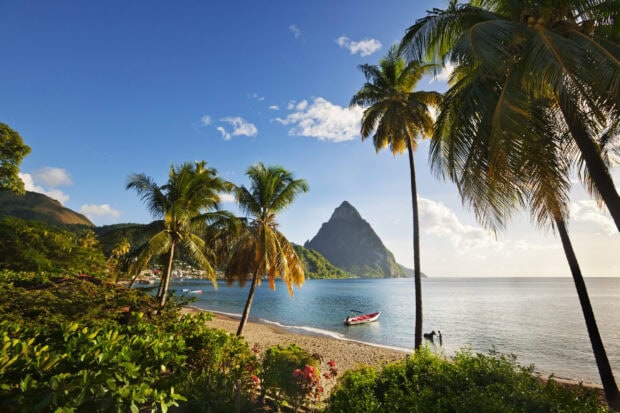 Tropical palms and mountain landscape in Saint Lucia with a boat on the beach