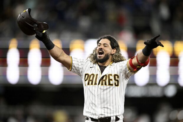 A San Diego Padres player celebrates during the game with arms raised, HD Desktop Wallpaper
